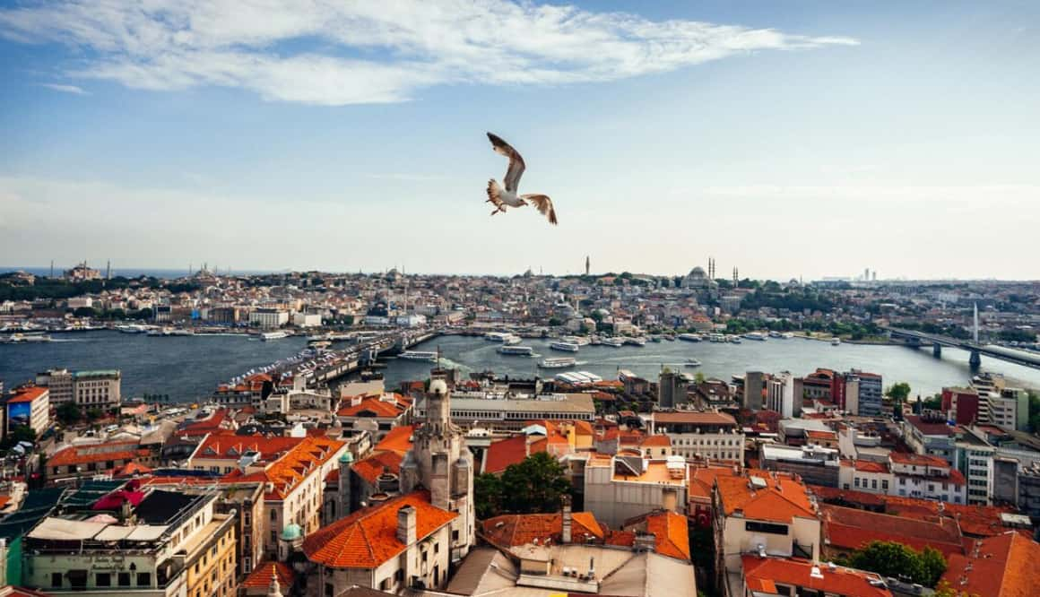 Panoramic view of Istanbul with a seagull flying above the cityscape