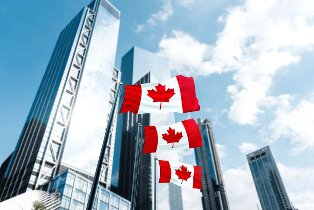 Canadian flags fluttering before gleaming high-rise buildings